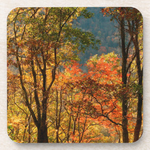 VS, Tennessee. Herfst Bier Onderzetter