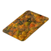 VS, Tennessee. Herfst Foliage 2 Magneet (Linkerzijde)
