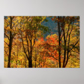 VS, Tennessee. Herfst Foliage Poster (Voorkant)