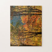 VS, Tennessee. Herfst Legpuzzel (Verticaal)