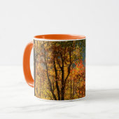 VS, Tennessee. Herfst Mok (Voorkant links)