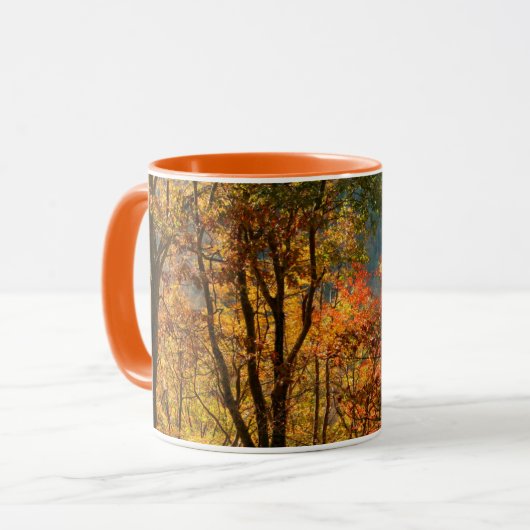 VS, Tennessee. Herfst Mok (Voorkant links)