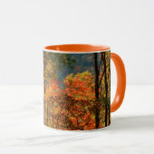 VS, Tennessee. Herfst Mok (Voorkant rechts)