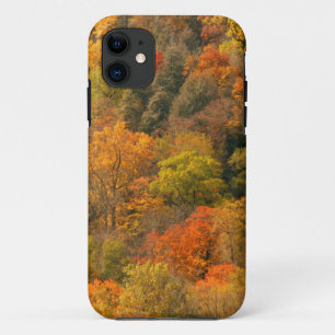 VS, Tennessee. Herfstblad 2 iPhone 11 Hoesje