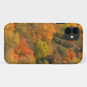 VS, Tennessee. Herfstblad 2 Case-Mate iPhone Case (Achterkant (horizontaal))