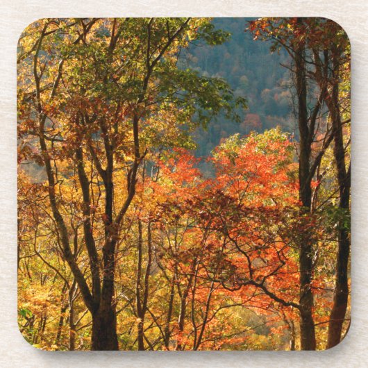 VS, Tennessee. Herfstblad Bier Onderzetter (Voorkant)