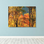 VS, Tennessee. Herfstblad Canvas Afdruk (Insitu (Houten vloer))