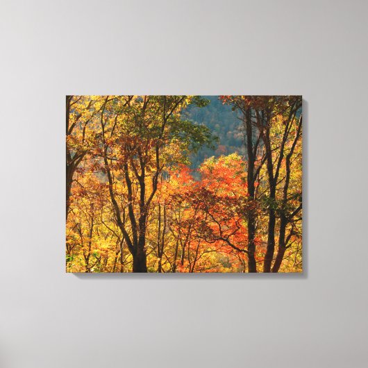 VS, Tennessee. Herfstblad Canvas Afdruk (Voorkant)