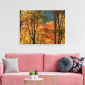VS, Tennessee. Herfstblad Canvas Afdruk (Insitu (Woonkamer))