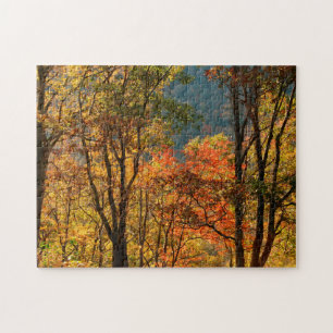 VS, Tennessee. Herfstblad Legpuzzel