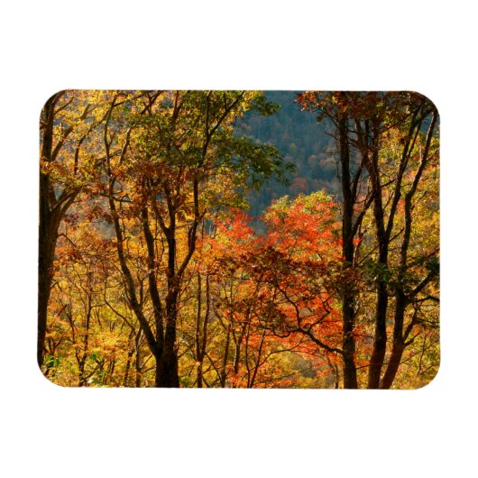 VS, Tennessee. Herfstblad Magneet (Horizontaal)