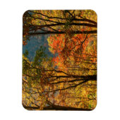 VS, Tennessee. Herfstblad Magneet (Verticaal)