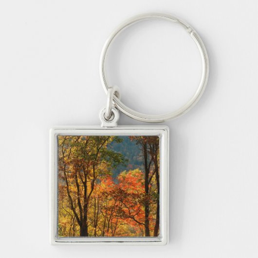VS, Tennessee. Herfstblad Sleutelhanger (Voorkant)