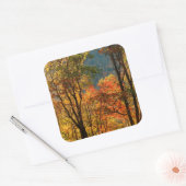 VS, Tennessee. Herfstblad Vierkante Sticker (Envelop)
