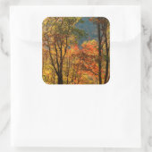 VS, Tennessee. Herfstblad Vierkante Sticker (Tas)