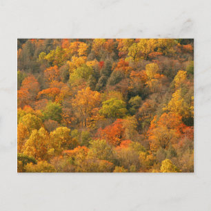 VS, Tennessee. Herfstkleuren 2 Briefkaart