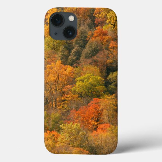VS, Tennessee. Herfstkleuren 2 Case-Mate iPhone Case (Achterkant)