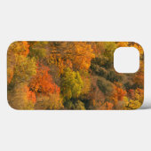 VS, Tennessee. Herfstkleuren 2 Case-Mate iPhone Case (Achterkant (horizontaal))