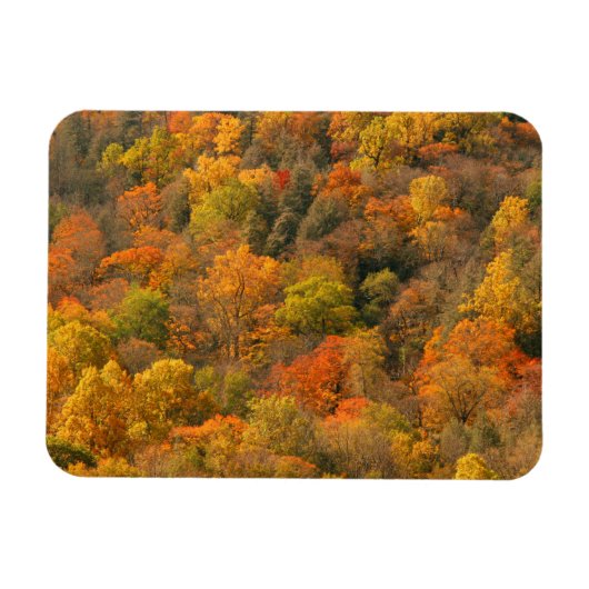 VS, Tennessee. Herfstkleuren 2 Magneet (Horizontaal)
