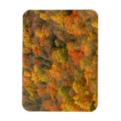 VS, Tennessee. Herfstkleuren 2 Magneet (Verticaal)