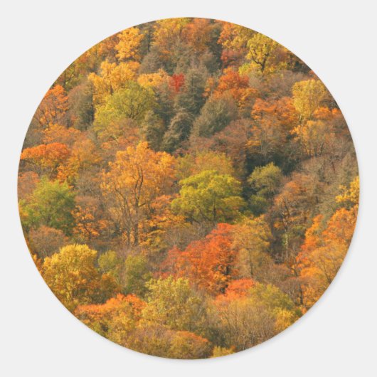 VS, Tennessee. Herfstkleuren 2 Ronde Sticker (Voorkant)
