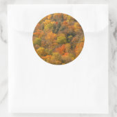 VS, Tennessee. Herfstkleuren 2 Ronde Sticker (Tas)