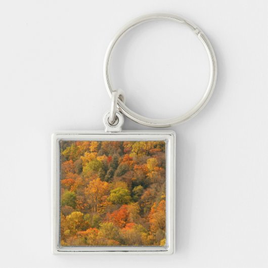 VS, Tennessee. Herfstkleuren 2 Sleutelhanger (Voorkant)