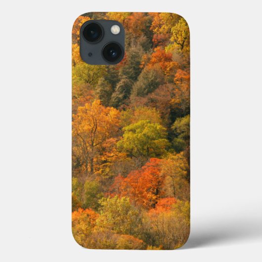 VS, Tennessee. Herfstloof 2 Case-Mate iPhone Case (Achterkant)