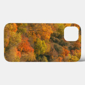 VS, Tennessee. Herfstloof 2 Case-Mate iPhone Case (Achterkant (horizontaal))