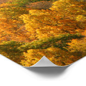 VS, Tennessee. Herfstloof 2 Poster (Hoek)