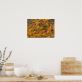 VS, Tennessee. Herfstloof 2 Poster (Keuken)