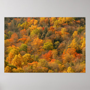 VS, Tennessee. Herfstloof 2 Poster