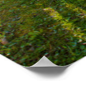 VS, Tennessee, Hut in Cades Cove Poster (Hoek)