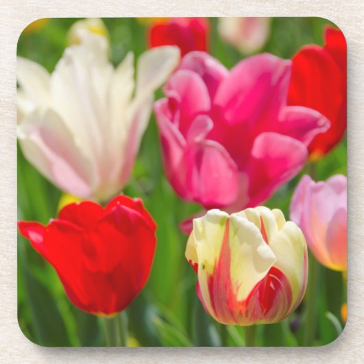 VS, Tennessee, Nashville Bier Onderzetter (Voorkant)