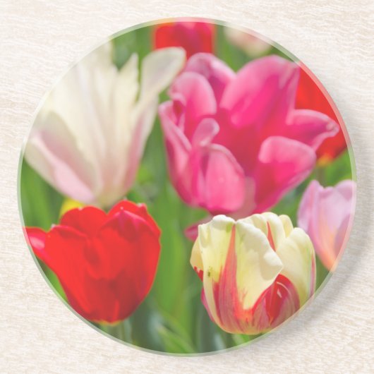 VS, Tennessee, Nashville Zandsteen Onderzetter (Voorkant)