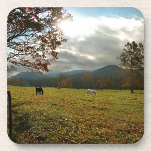 VS, Tennessee. Paarden in Cades Cove-vallei Bier Onderzetter
