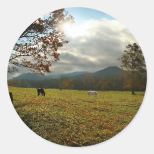 VS, Tennessee. Paarden in Cades Cove-vallei Ronde Sticker