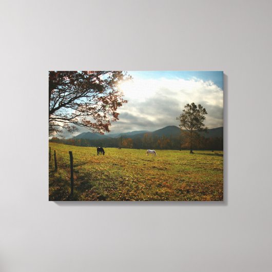 VS, Tennessee. Paarden in de Cades Cove Valley Canvas Afdruk (Voorkant)