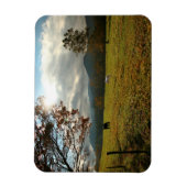 VS, Tennessee. Paarden in de Cades Cove Valley Magneet (Verticaal)