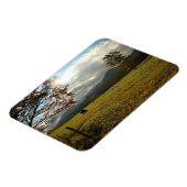 VS, Tennessee. Paarden in de Cades Cove Valley Magneet (Linkerzijde)