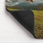 VS, Tennessee. Paarden in de Cades Cove Valley Muismat (Hoek)