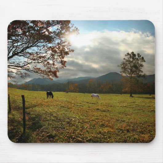 VS, Tennessee. Paarden in de Cades Cove Valley Muismat (Voorkant)