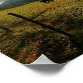 VS, Tennessee. Paarden in de Cades Cove Valley Poster (Hoek)