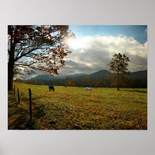 VS, Tennessee. Paarden in de Cades Cove Valley Poster (Voorkant)
