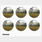 VS, Tennessee. Paarden in de Cades Cove Valley Ronde Sticker (Vel)