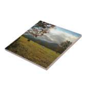 VS, Tennessee. Paarden in de Cades Cove Valley Tegeltje (Zijkant)