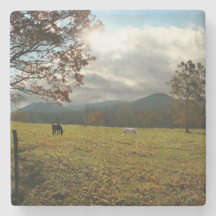 VS, Tennessee. Paarden in de vallei van Cades Cove Stenen Onderzetter