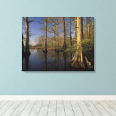 VS, Tennessee. Reelfoot National Wildlife Canvas Afdruk (Insitu (Houten vloer))