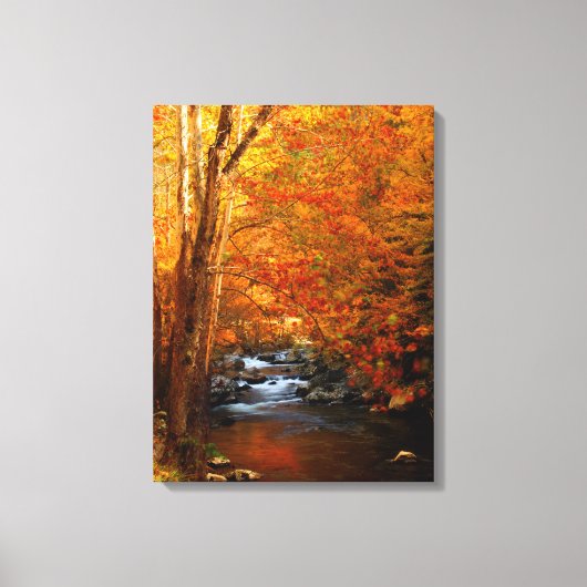 VS, Tennessee. Rushing Mountain Creek 2 Canvas Afdruk (Voorkant)