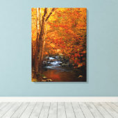 VS, Tennessee. Rushing Mountain Creek 2 Canvas Afdruk (Insitu (Houten vloer))
